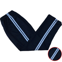 Spring and summer trousers shallow Tibetan green inlaid Sky Blue Parallel bars sports cotton breathable striped casual school pants women