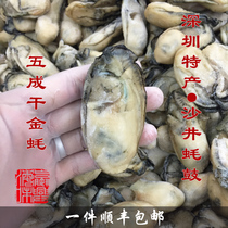 Shenzhen specialty Shajing oyster drum Wucheng dry Golden Oyster Guangdong hand letter semi-dry dry oyster Shunfeng