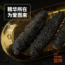 (Pre-sale 15 days)Yixian Sea ginseng A light dry sea cucumber Shandong Weihai dry thorn ginseng dry sea cucumber 220g