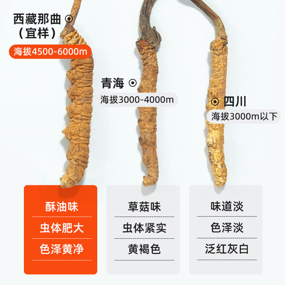 Yiyang Dried Cordyceps Sinensis Tibet Nagqu Cordyceps Sinensis Official Flagship Store Tibet Nagqu Cordyceps Genuine