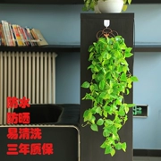 Tường trang trí cây xanh mô phỏng mây treo tường hoa lan nội thất phủ tường cây giả hoa treo hoa - Hoa nhân tạo / Cây / Trái cây