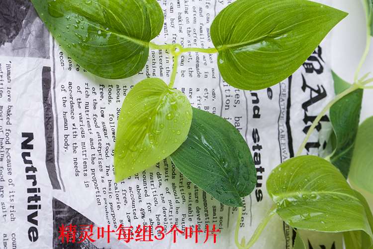 Tường trang trí cây xanh mô phỏng mây treo tường hoa lan nội thất phủ tường cây giả hoa treo hoa - Hoa nhân tạo / Cây / Trái cây bình hoa giả để phòng khách