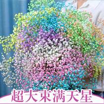 Flower - plug - in high - end 2021 new living room packaging sends girlfriends high - quality high - end luxury network red