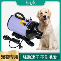 Pet hair dryer dog hair dryer high power large dog golden retriever cat home drying hair dryer 2200W