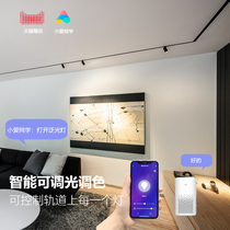 Intelligent magnetic attraction track lamp embedded without frame concealed rice Home Miner Spotlight Small Love Sky cat No main dimmable