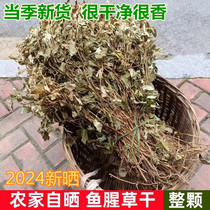 2024 New Arrival Farm Home-Dried Houttuynia Cordata Dried Fujian Hakka Healthy Herbal Tea Soaked in Water Herba 500g