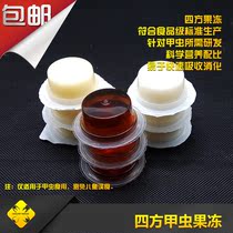 Beetle jelly Special insect Big spade nail Ant pet jelly Wide mouth square maple lactic acid high protein