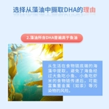 Детская DHA, водоросли для младенца, детское масло из морских водорослей для беременных, капли, Франция