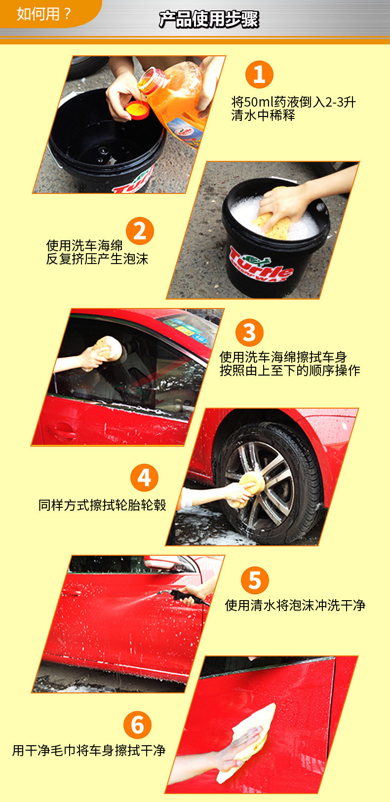 Xie Shijie 170314 Черепаха.