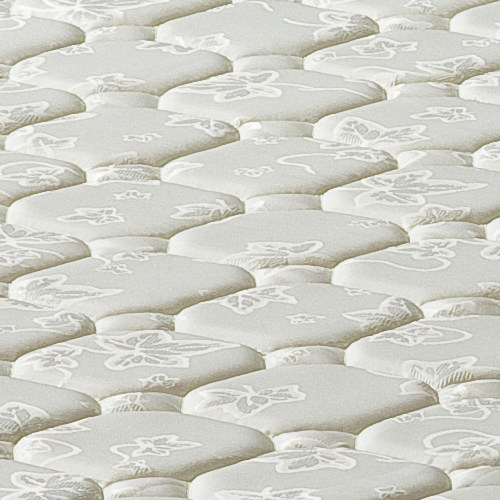 Լ����������˫�˴��� D806����