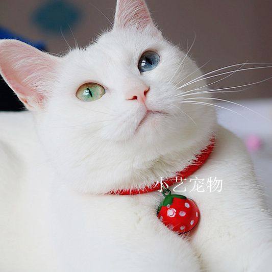 Xiaoyi Pet Collar Cat Necklace Kitten Pendant Cat Ornament Strawberry Bell Small Dog Pet Supplies