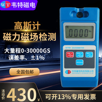 WITT WT103 digital Gauss meter Tesla meter Magnet magnetometer Magnetic field test instrument Magnetic detector