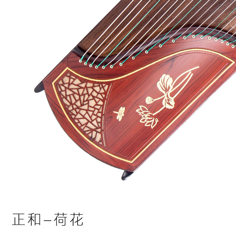 Positive and guzheng-Dutch wind beginner beginner professional playing koto