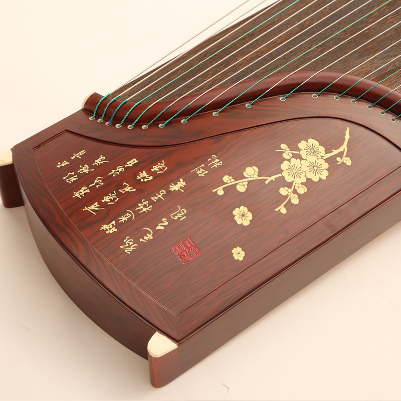Zhengzheng and Guzheng-Xijiang Yueyue High Price-to-Value Entrance Zither
