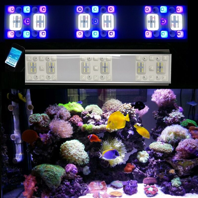 ReefSky Maxim series upgraded version full spectrum intelligent LED seawater lamp coral lamp Sunrise