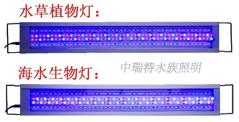 请各位大神推荐水草led灯 养阴性水草的 水草种植 Cta南美水族 Powered By Discuz