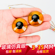 Simulation Eye Diy Handmade glass eye animal specimen eagle chickbird longwood carved toy eye