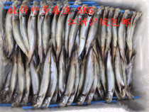 Spring fish 6L 5KG fresh full-seeded frozen multi-seeded deep-sea fish seafood barbecue Jiangsu Shanghai and Anhui whole box