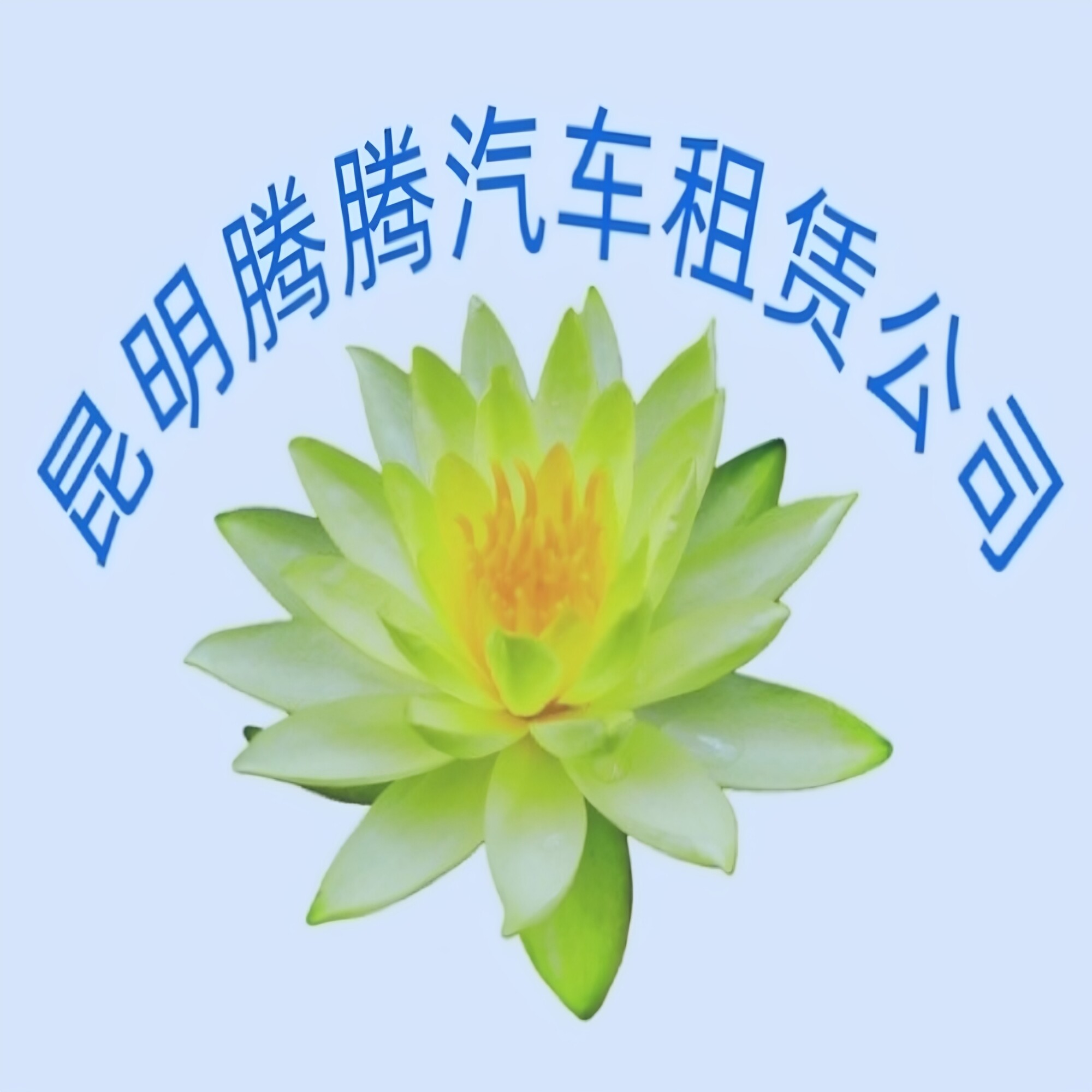 腾腾旅游租车