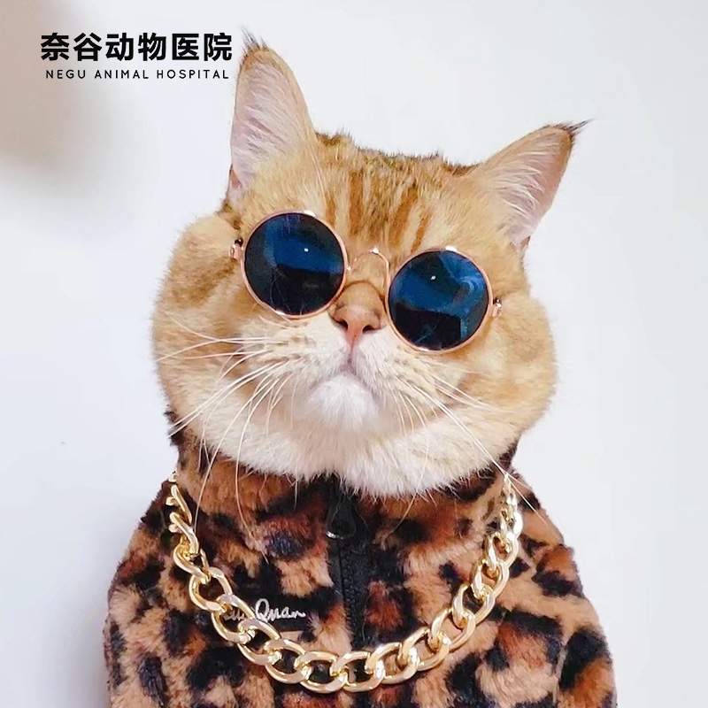 Pet Pooch Kitty Accessories Tchaifa Bulldog Teddy Cierna Rebbago Gritty Personality Spectacle Dog Cat Sunglasses