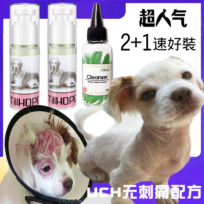 Obtained Puyu skin cream cat and dog fungal skin disease dog toenitis special medicine interdental inflammation dog golden hair skin disease medicine