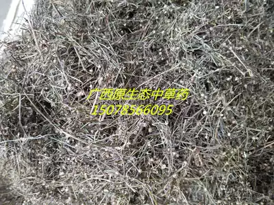 野生百花舌蛇草水白花舌蛇草白花蛇舌草500克水线草