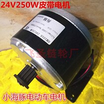 Belt type 24V250W 300W Brush Motor MY1016 electric scooter synchronous belt motor