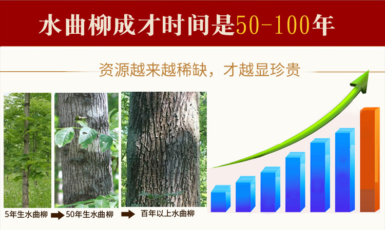 Bàn cà phê gỗ rắn hiện đại Trung Quốc tro phòng thay đồ phòng khách gỗ rắn lưu trữ đơn giản vuông kung fu bàn trà - Bàn trà mẫu bàn trà