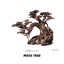 Moss tree aquascape Brazilian tree welcome pine dead wood tree of life integrated skeleton one tree into a landscape without yellow water