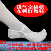 Plus size Korean dance shoes white canvas classical dance shoes indoor practice dance shoes flat dance shoes performance shoes