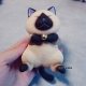 Три поколения сиамская кошка