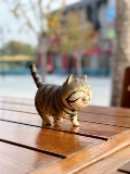 Департамент исцеления ~ Cat Desktop Swing Hand