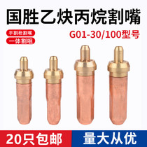 G01-30 G01-100 ring acetylene cutting nozzle propane cutting gas gas liquefied gas plum blossom cutting gun Guosheng