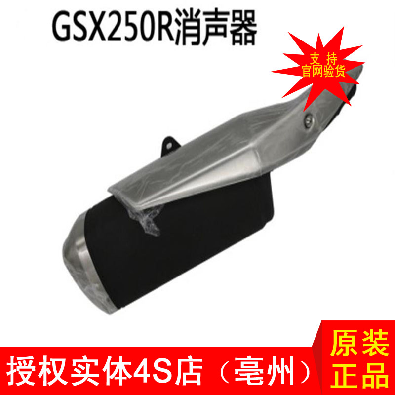 Authorized 4S Shop Applicable GSX250R exhaust pipe protection plate silencer assembly retrofit GW250 exhaust pipe