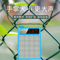  Lanhui G537 small bee loudspeaker teacher microphone wireless teaching dedicated class small multi-function ear