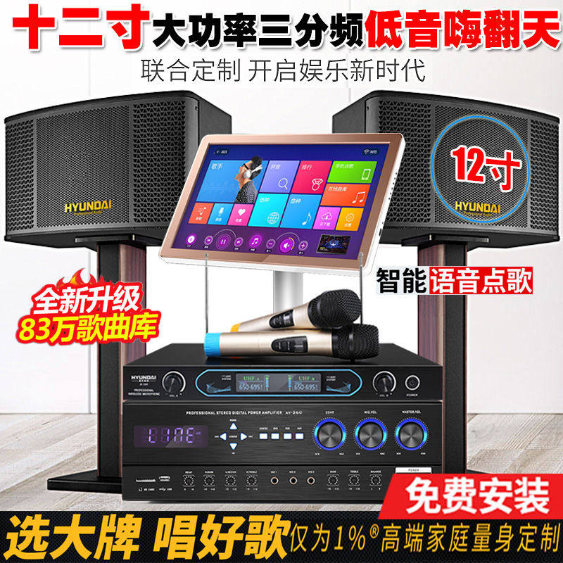 Modern 12-inch home theater ktv audio set home voice karaoke machine karaoke living room K song speaker