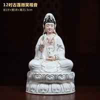 D23-101B 12-дюймовый платиновый цвет