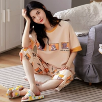 YZT7782