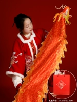 DIY【Ruilong】/Новогодняя подарочная коробка с драконом