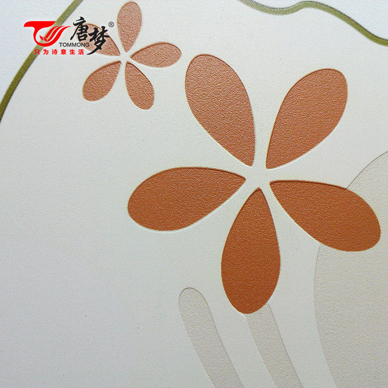 ���η¹�ש��Լ�ִ����ӱ���ǽ