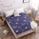 Ký túc xá sinh viên đơn có nệm flannel, chiếu tatami, chiếu trải sàn ấm áp cho hai người, đệm có thể giặt được, - Nệm