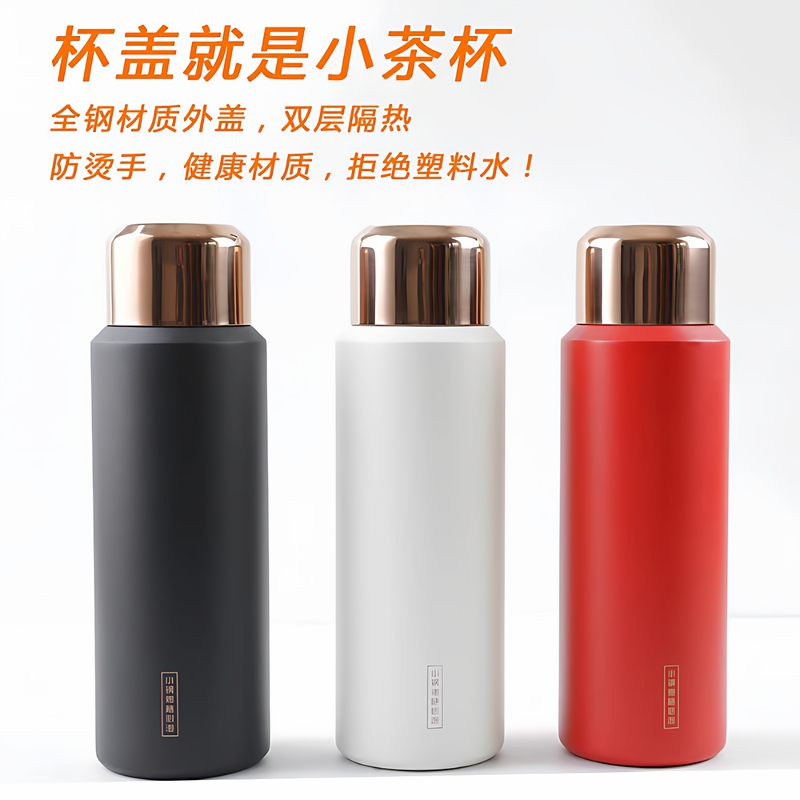 Small Stainless Steel Insulated Cup for Brewing Tea, Drinking Water, Home Use, with Temperature Display, Portable for Outdoor Travel