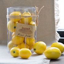 American original single simulation plastic fruit model props soft decoration model room home decoration decoration