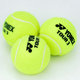 정품 YONEX 테니스 yy 트레이닝 및 경기용 볼 튜브 3개, 내마모성 및 고탄성 TB-TR3