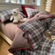 A Four-Piece Set for Boys, Pure Cotton, Double-Layer Gauze Bed Sheet, Duvet Cover, Fitted Sheet, Single Dormitory Bed Three-Piece Set