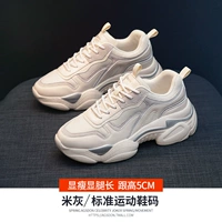 20T176M метр серой