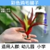 . Feather duster bộ sưu tập lớn dành cho người lớn trẻ em trò chơi thể dục ngỗng lông bóng học sinh màu chính - Các môn thể thao cầu lông / Diabolo / dân gian cầu đá lông vịt Các môn thể thao cầu lông / Diabolo / dân gian
