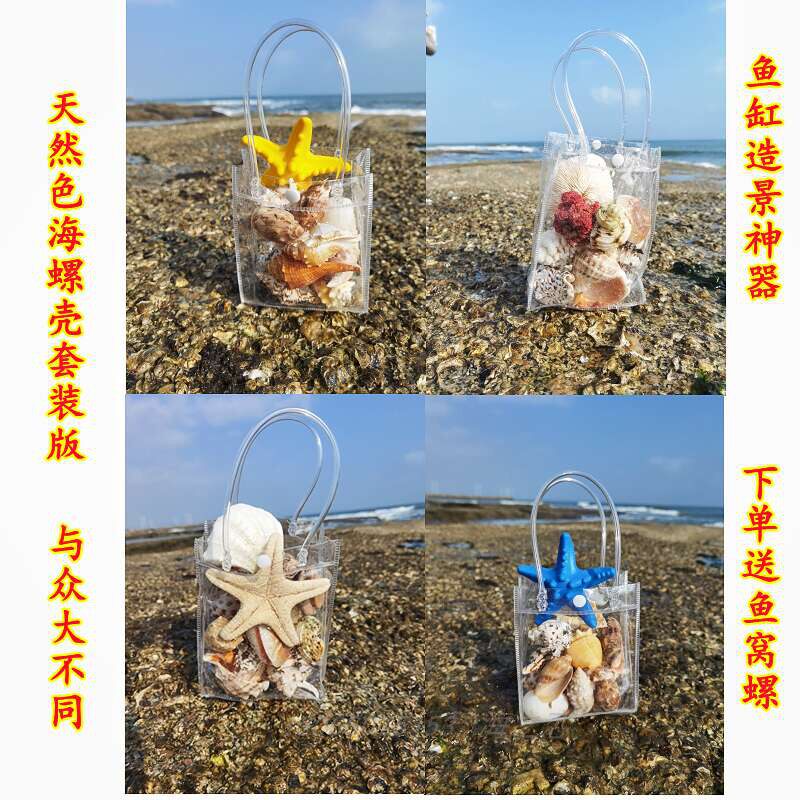 Sea Stone Flower Mushroom Stone Fish Tank Built beach shell fish tank Aquarium Made of Bubble Water Beach Sea Snail