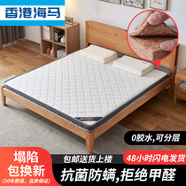 Haima Mattress Top Ten Famous Brand Thin Childrens Latex Hard 3e Green Coconut Palm Mat Home Tatami Single Dormitory