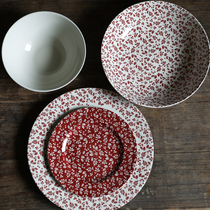 W1962 export UK vintage idyllic Red Berry leaves ceramic tableware set Western plate salad bowl